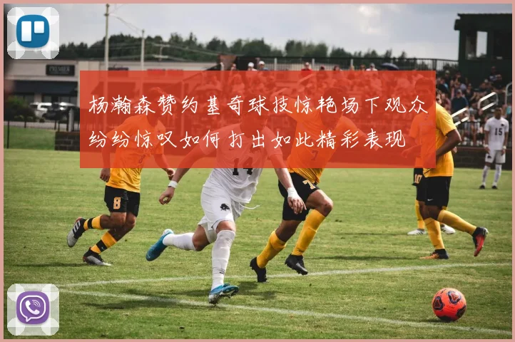杨瀚森赞约基奇球技惊艳场下观众纷纷惊叹如何打出如此精彩表现