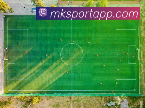 App Interface Preview