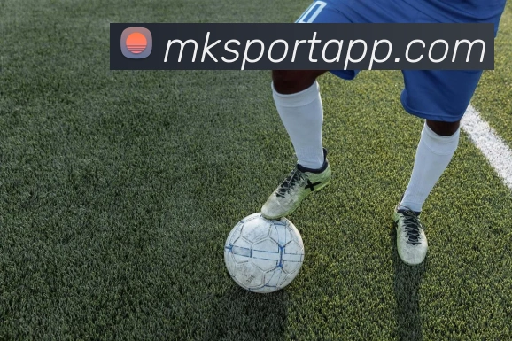 MK体育APP 封面图